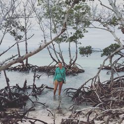 Rear view of woman standing on tree at beach