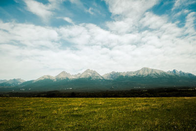 Scenic view of field against sky