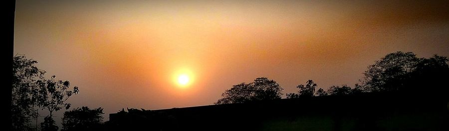 Silhouette of trees at sunset