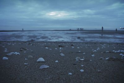 Surface level of beach against sky