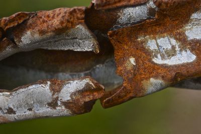 Close-up of rusty metal