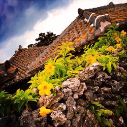 View of plants against the sky