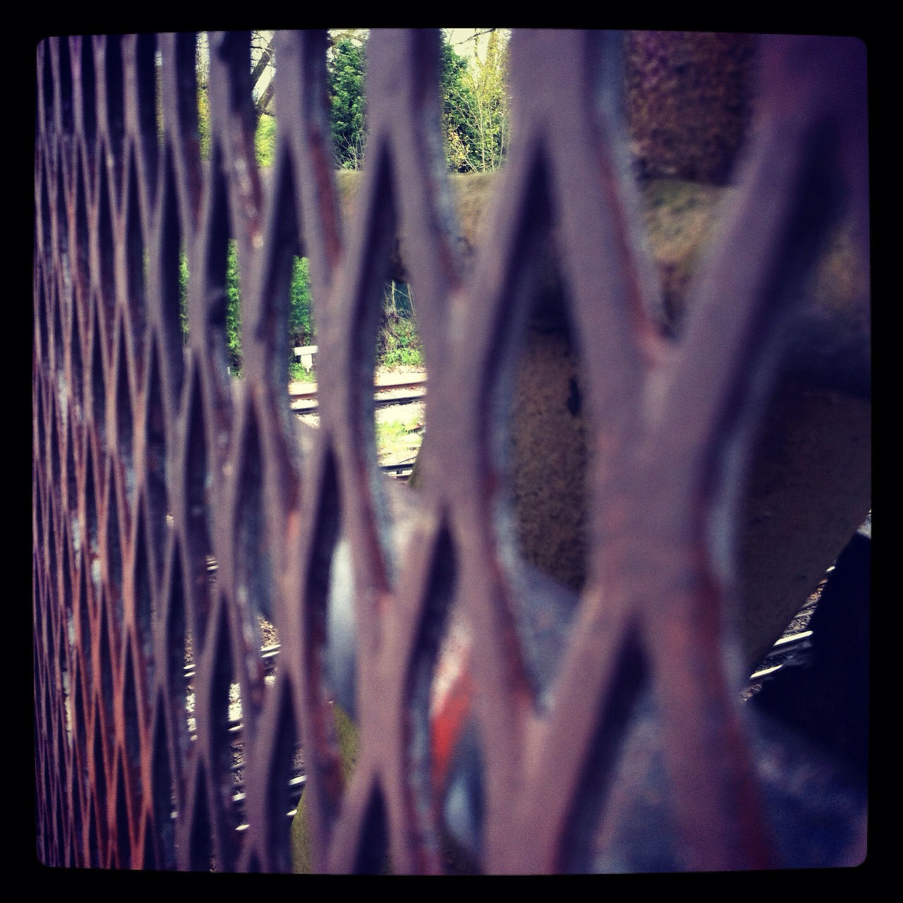 transfer print, auto post production filter, tree, growth, sunlight, shadow, low angle view, day, no people, outdoors, close-up, tree trunk, branch, pattern, nature, fence, green color, plant, selective focus