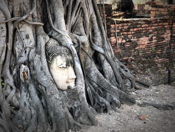 Sculpture of buddha statue outside historic building