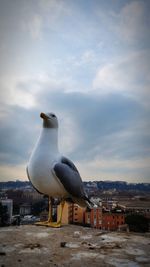 Bird perching on city against sky