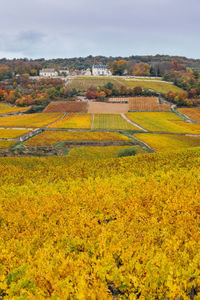Scenic view of saint-romain and vineyards during autumn against sky. 