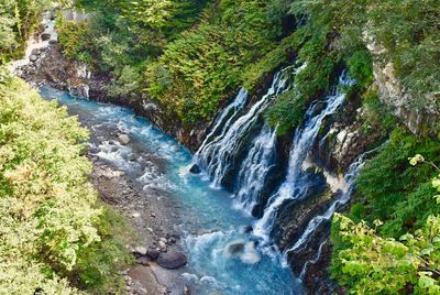 Scenic view of waterfall in forest