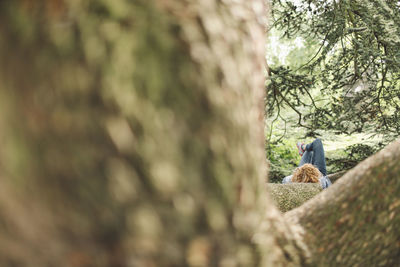 Rear view of woman relaxing by tree at park