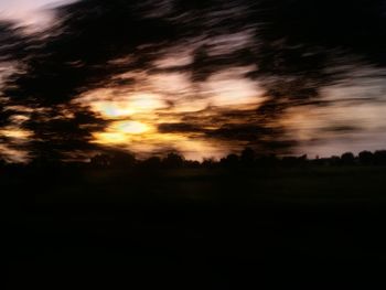 Silhouette trees on field against sky at sunset