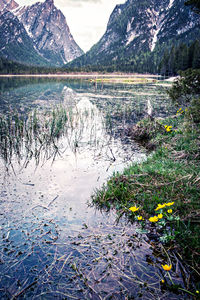 Scenic view of lake