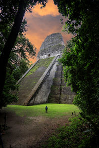 Tikal, guatemala july 2021