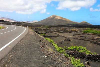 Vineyard in lanzarote