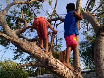 Low angle view of boy playing on tree against sky