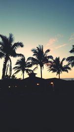 Low angle view of silhouette palm trees against sky