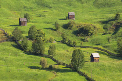 Scenic view of agricultural landscape