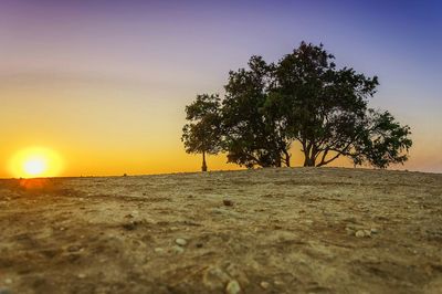 Scenic view of landscape against sky at sunset