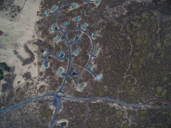 High angle view of road by trees