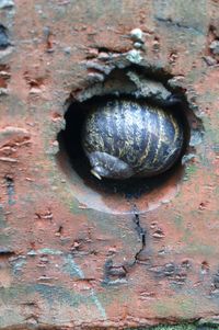 Close-up of wooden wall