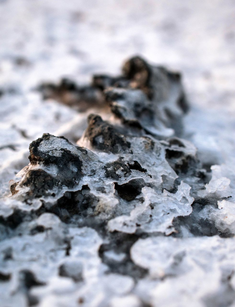 CLOSE-UP OF ICE ON ROCK