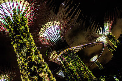 Low angle view of tree at night