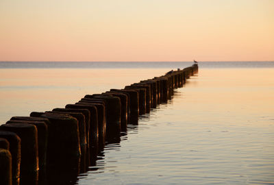 Scenic view of calm sea at sunset