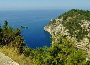 High angle view of sea and trees against sky