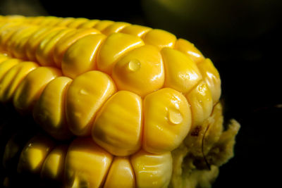 Close-up of corn on the cob