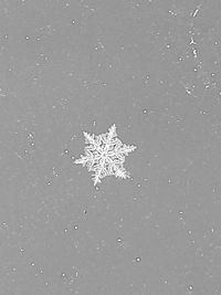 High angle view of snowflakes on land