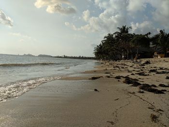 Scenic view of beach against sky