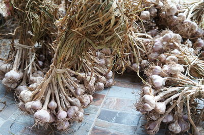 Fresh garlic ready to be sold in the market.