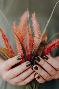 Close-up of woman holding plant