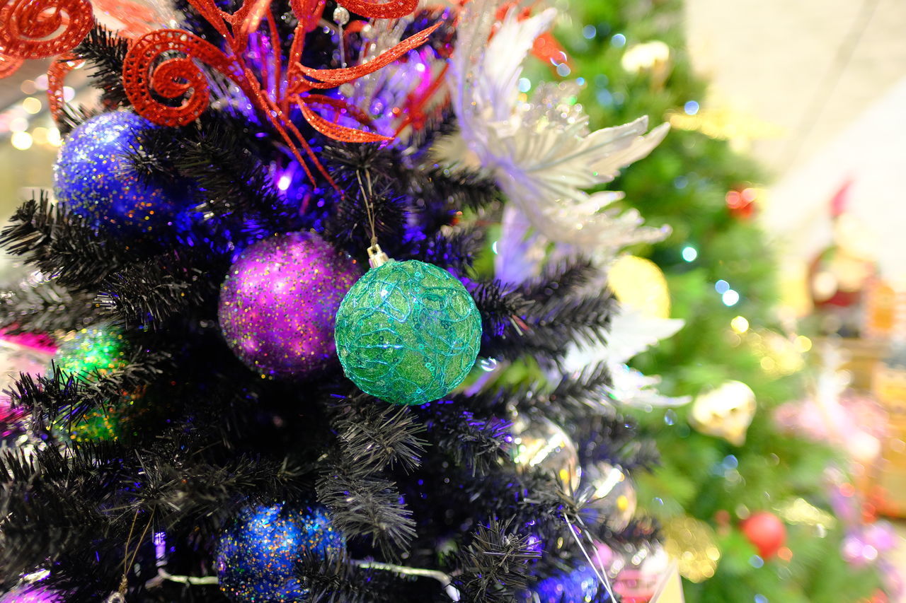 CLOSE-UP OF CHRISTMAS DECORATIONS HANGING ON TREES