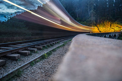 Surface level of railroad tracks along trees