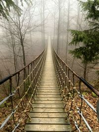 View of footbridge in forest