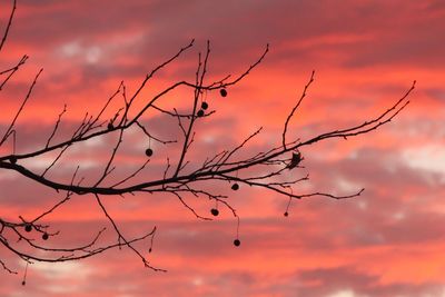 Low angle view of bare tree against cloudy sky