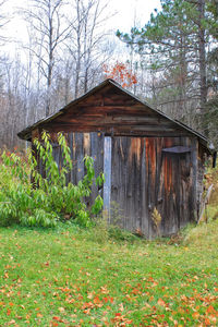 Wooden cottage on field by house in forest