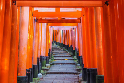 Walkway in torii gates