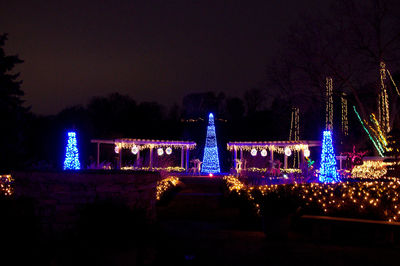 Illuminated christmas tree against sky at night