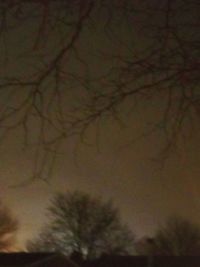 Close-up of bare tree against sky