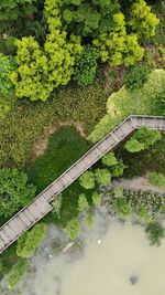 High angle view of bridge amidst trees