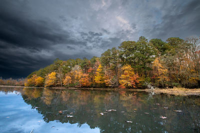 Trees by lake against sky during autumn