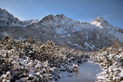 Scenic view of snowcapped mountains against sky