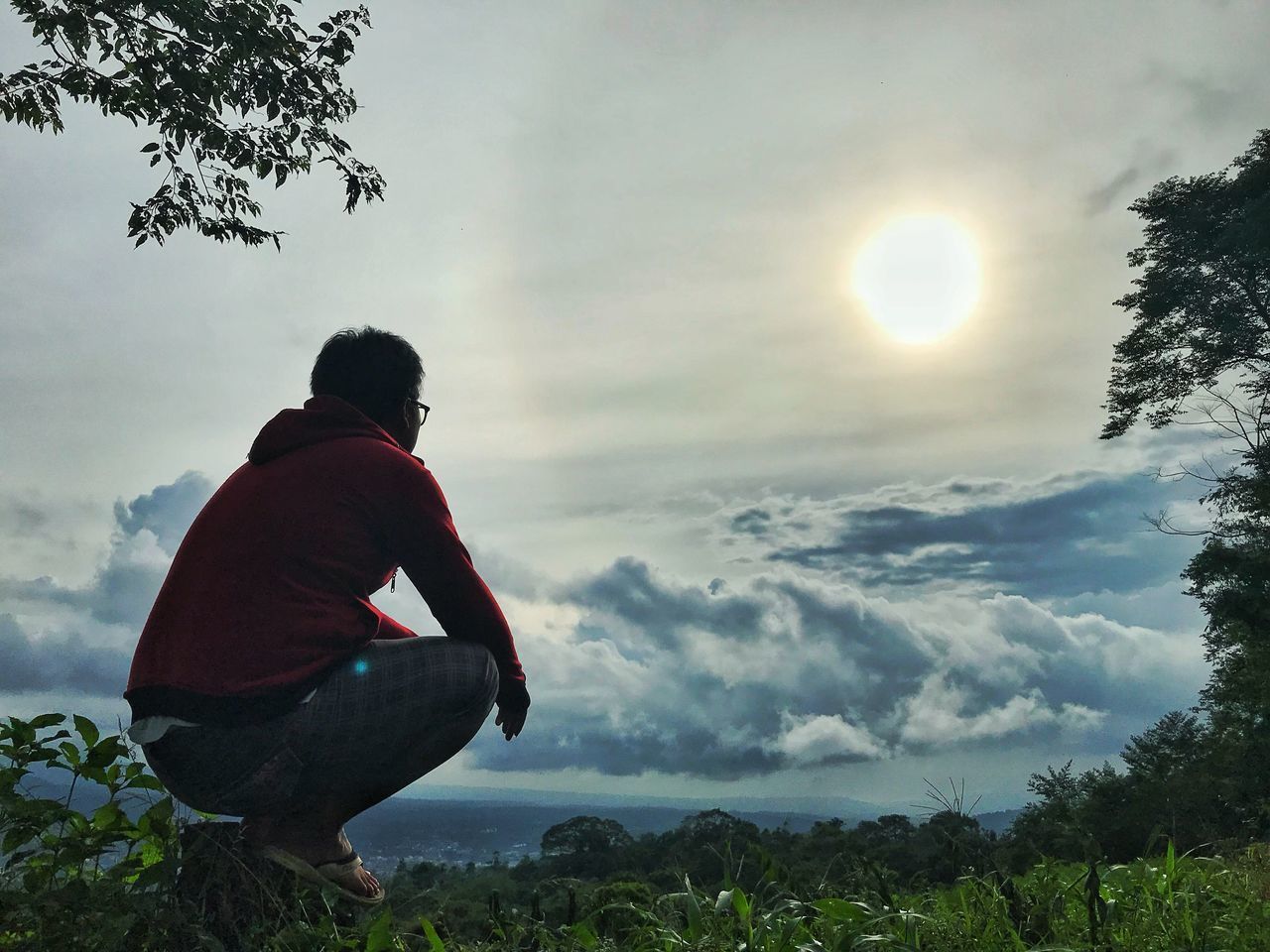 REAR VIEW OF MAN SITTING AGAINST TREES