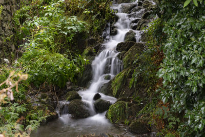 Scenic view of waterfall in forest