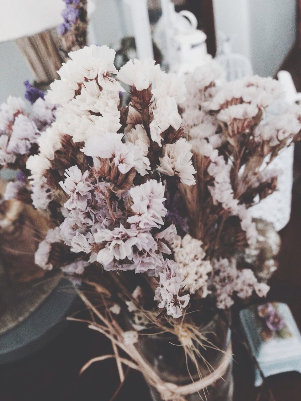 flower, focus on foreground, close-up, freshness, fragility, petal, growth, nature, beauty in nature, white color, indoors, bunch of flowers, flower head, selective focus, plant, day, blooming, no people, blossom