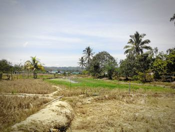 Scenic view of field against cloudy sky