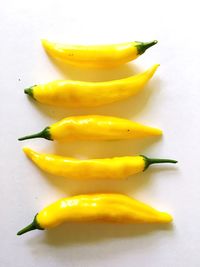 Close-up of yellow chili pepper against white background