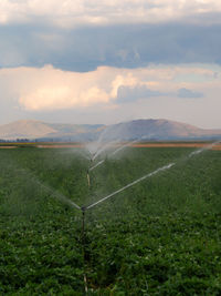 Scenic view of field against sky