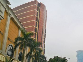 Low angle view of palm trees and buildings against sky