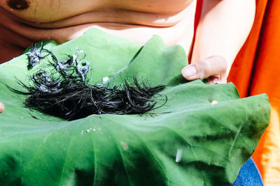 Close-up of a woman holding a plant